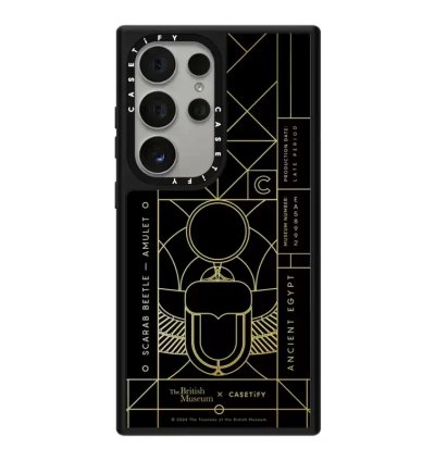 Egyptian Hieroglyphs MagSafe Case