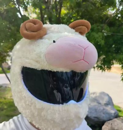 ცხვრის ჩაფხუთის კოსტუმი