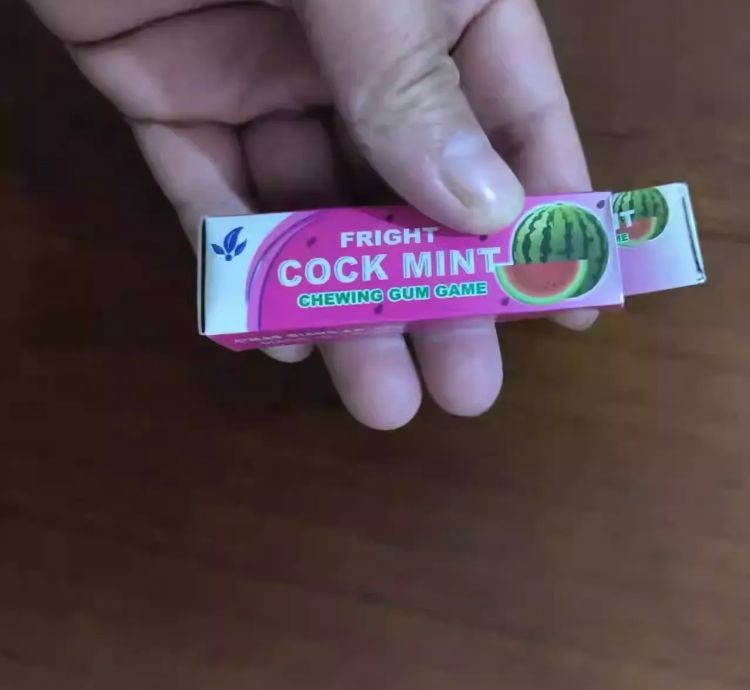 Cockroach prank gum toy